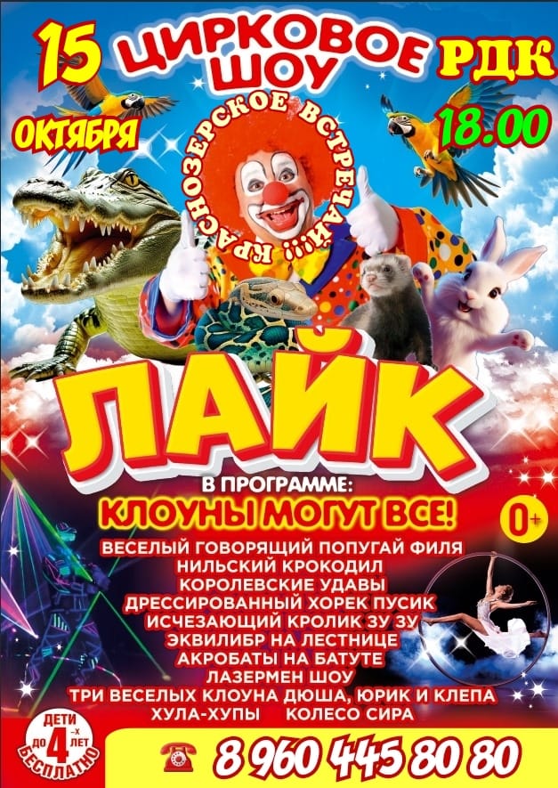 ЦИРК "ЛАЙК" из Перми